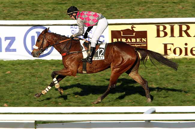 Arrivée quinté pmu PRIX PMU TABAC JOURNAUX DES 5 CANTONS - ANGLET (PRIX DE SAMES) à PAU