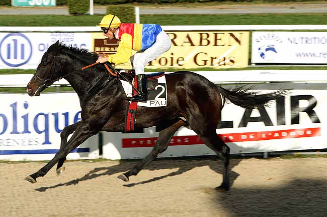 Arrivée quinté pmu PRIX D'ARAUJUZON à PAU