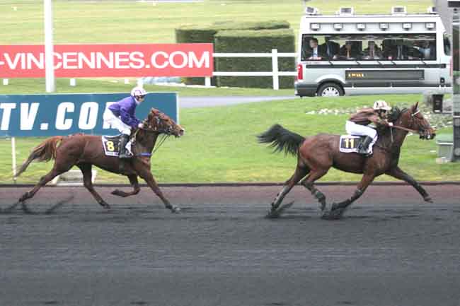 Arrivée quinté pmu PRIX D'ALBERTVILLE à PARIS-VINCENNES