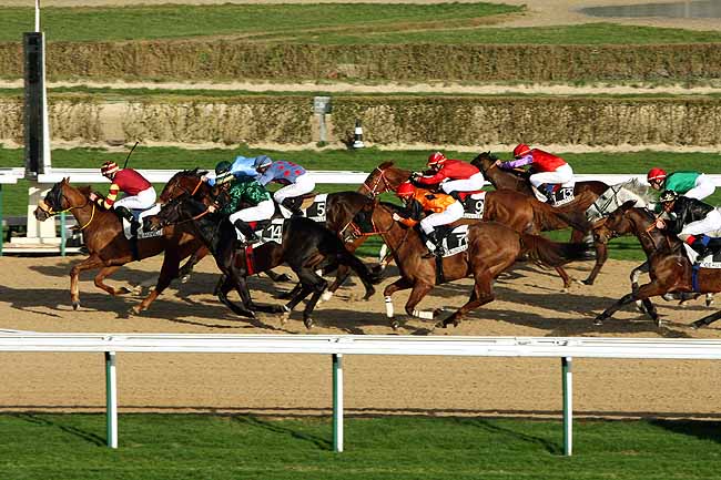 Arrivée quinté pmu PRIX DE THAON à DEAUVILLE