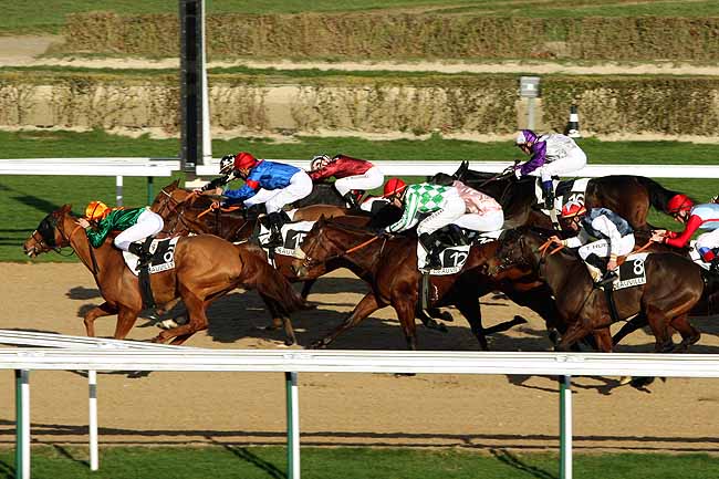 Arrivée quinté pmu PRIX MISS SATAMIXA à DEAUVILLE
