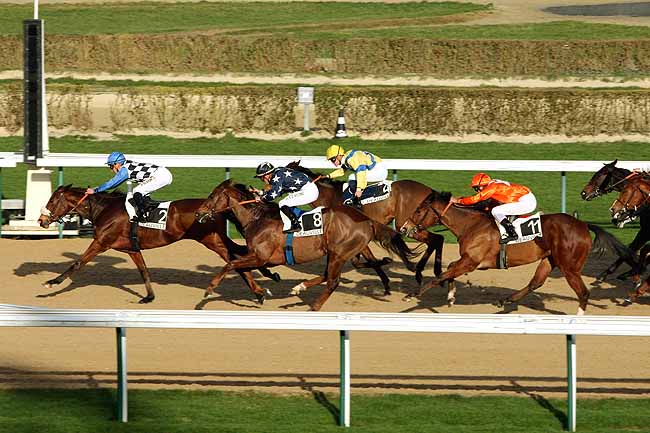 Arrivée quinté pmu PRIX DU BOIS HAMIOT à DEAUVILLE