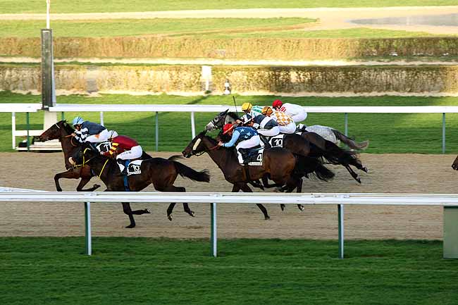 Arrivée quinté pmu PRIX DU COUESNON à DEAUVILLE