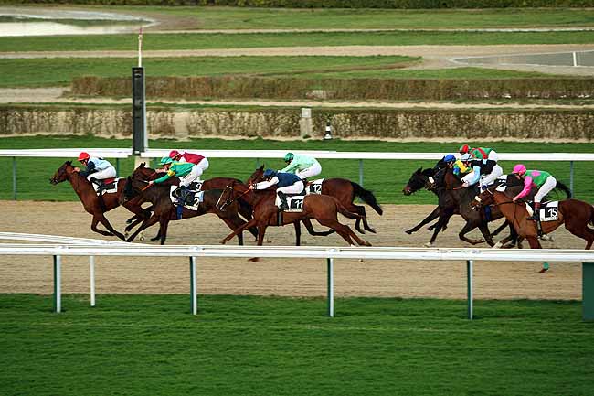 Arrivée quinté pmu PRIX DU BOIS AUX PROUX à DEAUVILLE