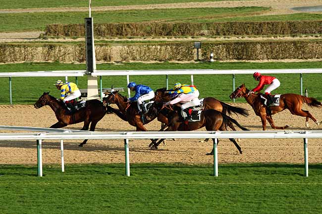 Arrivée quinté pmu PRIX DE LA GICQUELIERE à DEAUVILLE MIDI