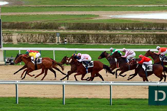 Arrivée quinté pmu PRIX DE GAVRAY à DEAUVILLE