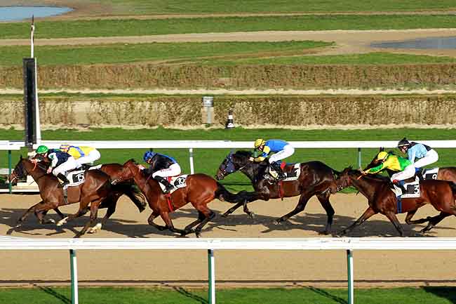 Arrivée quinté pmu PRIX DES BUISSONETS à DEAUVILLE