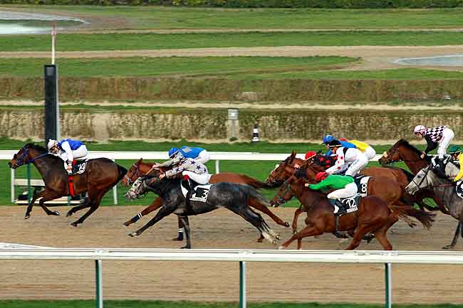 Arrivée quinté pmu PRIX DE CREULLET à DEAUVILLE