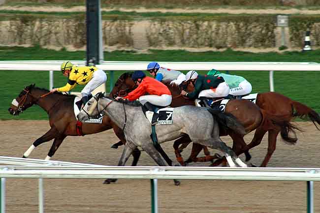 Arrivée quinté pmu PRIX DE COUTANCES à DEAUVILLE