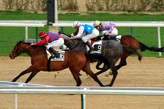 Arrivée quinté pmu PRIX DE BELLOUET à DEAUVILLE MIDI