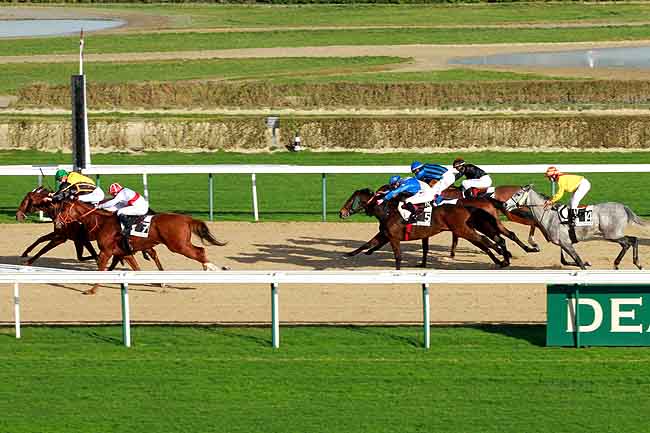Arrivée quinté pmu PRIX DU TAILLIS à DEAUVILLE MIDI