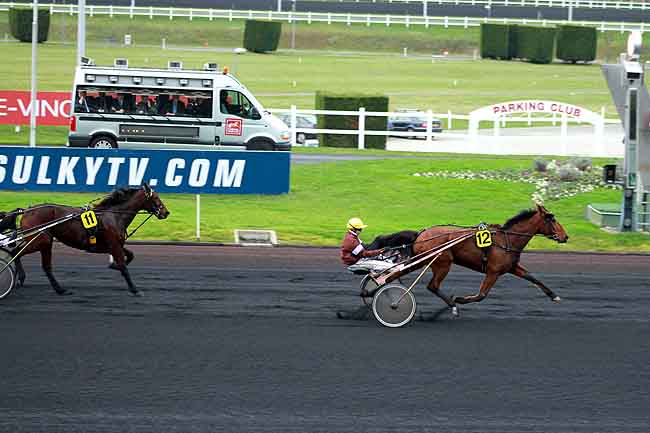 Arrivée quinté pmu PRIX DE RIBEAUVILLE à PARIS-VINCENNES