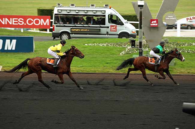 Arrivée quinté pmu PRIX DE SUCY à PARIS-VINCENNES