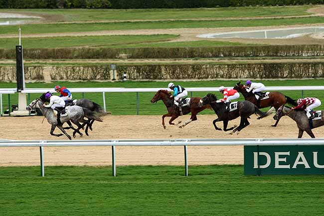 Arrivée quinté pmu PRIX DE LA TETE AU LOUP à DEAUVILLE