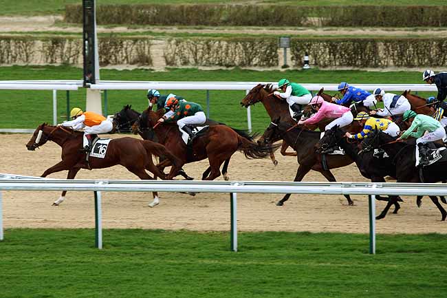 Arrivée quinté pmu PRIX DE LA CHARDENIERE à DEAUVILLE
