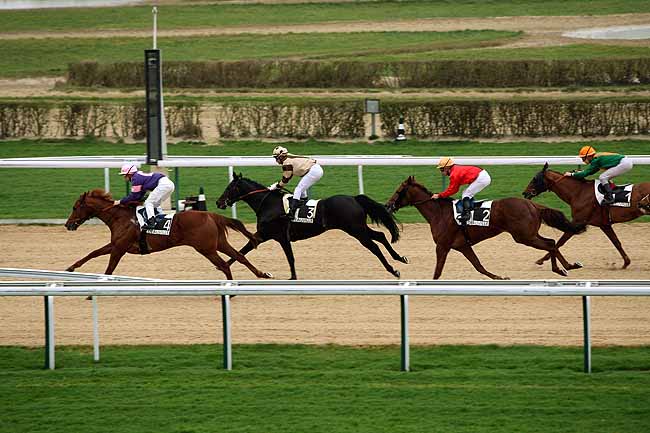 Arrivée quinté pmu PRIX DE LA VILLIERE à DEAUVILLE MIDI