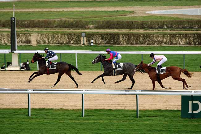 Arrivée quinté pmu PRIX DE LA PEROTIERE à DEAUVILLE MIDI