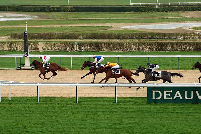 Arrivée quinté pmu PRIX DES CHAUMES à DEAUVILLE MIDI
