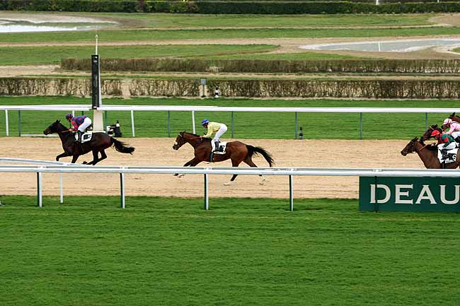 Arrivée quinté pmu PRIX DE GOUFFERN à DEAUVILLE MIDI