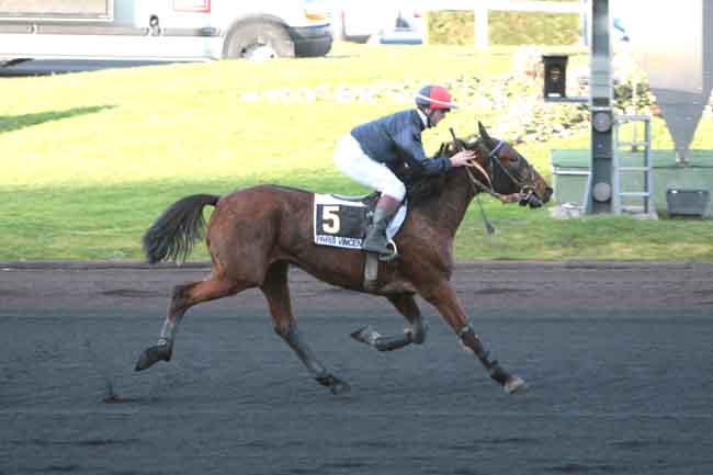 Arrivée quinté pmu PRIX DE MAROLLES à PARIS-VINCENNES
