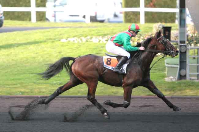 Arrivée quinté pmu PRIX DE NALLIERS à PARIS-VINCENNES