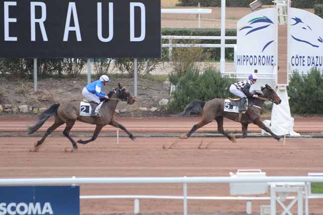 Arrivée quinté pmu PRIX HULK DE GODISSON à CAGNES-SUR-MER