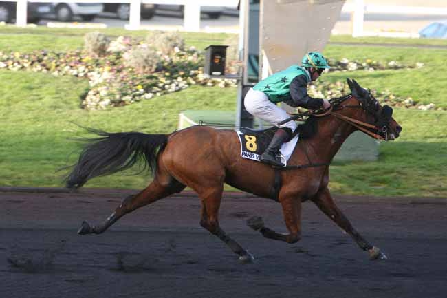 Arrivée quinté pmu PRIX DE LUNEVILLE à PARIS-VINCENNES