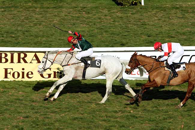 Arrivée quinté pmu PRIX ELIE DE MALET à PAU