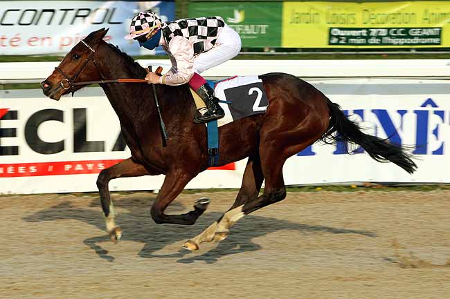 Arrivée quinté pmu PRIX ETIENNE POLLET à PAU