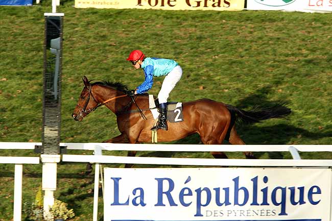 Arrivée quinté pmu PRIX PMU LE DIX-TARNOS (PRIX JOSEPH DE GONTAUT-BIRON) à PAU
