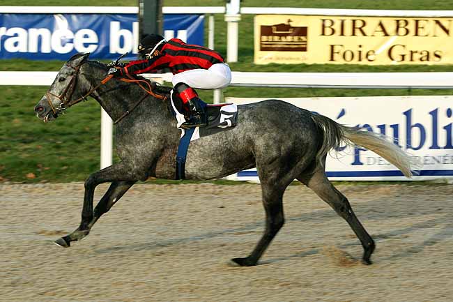Arrivée quinté pmu PRIX PMU BUFFET DE LA GARE - LOURDES (HANDICAP DE PAU) à PAU