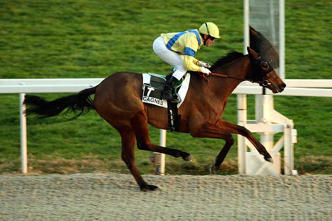 Arrivée quinté pmu PRIX DE DEAUVILLE à CAGNES-SUR-MER