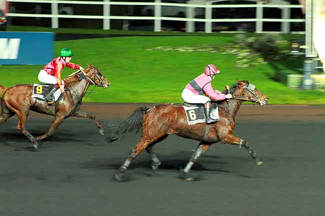 Arrivée quinté pmu PRIX DE LA FERTE-BERNARD à PARIS-VINCENNES