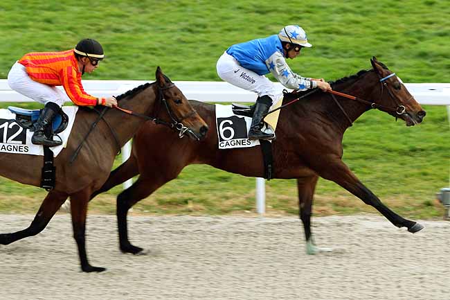 Arrivée quinté pmu PRIX DU SUQUET à CAGNES-SUR-MER