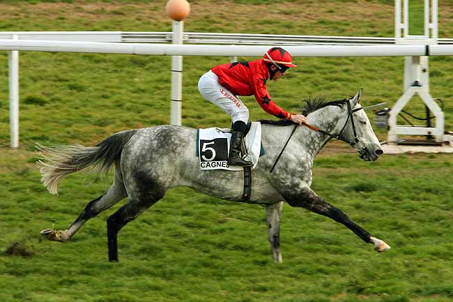 Arrivée quinté pmu PRIX ROBERT VILLENEUVE-BARGEMON à CAGNES-SUR-MER