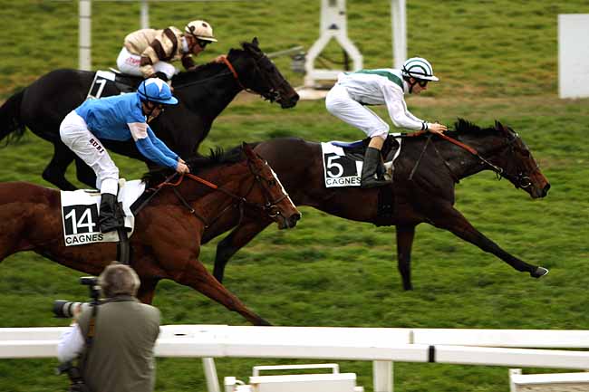 Arrivée quinté pmu PRIX DE LA CROISETTE à CAGNES-SUR-MER