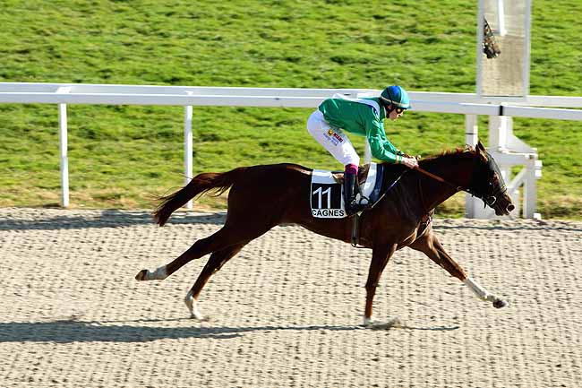 Arrivée quinté pmu PRIX DES CITRONNIERS à CAGNES-SUR-MER