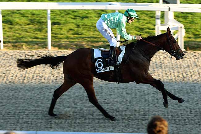 Arrivée quinté pmu PRIX DU ROUSSILLON à CAGNES-SUR-MER