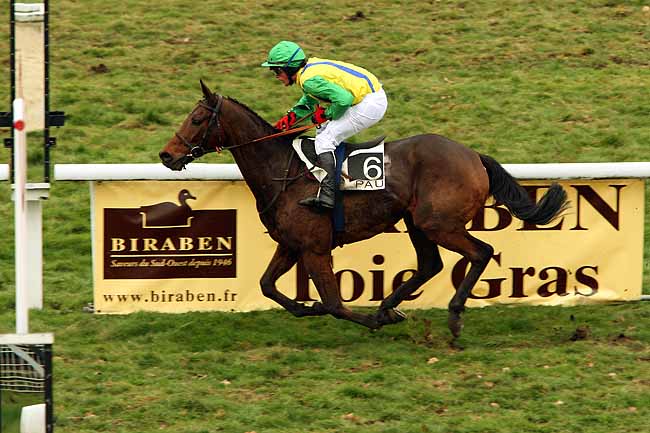 Arrivée quinté pmu PRIX AEROPORT PAU PYRENEES (PRIX RENE CRAMAIL) à PAU