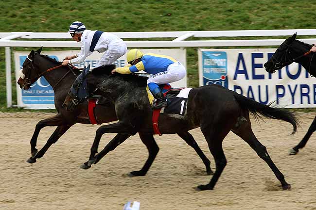 Arrivée quinté pmu PRIX DE MOMAS à PAU