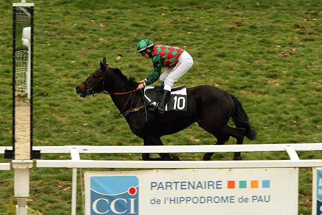 Arrivée quinté pmu PRIX DE GARLIN à PAU