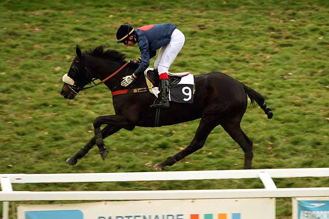Arrivée quinté pmu PRIX LOUIS LA CAZE à PAU