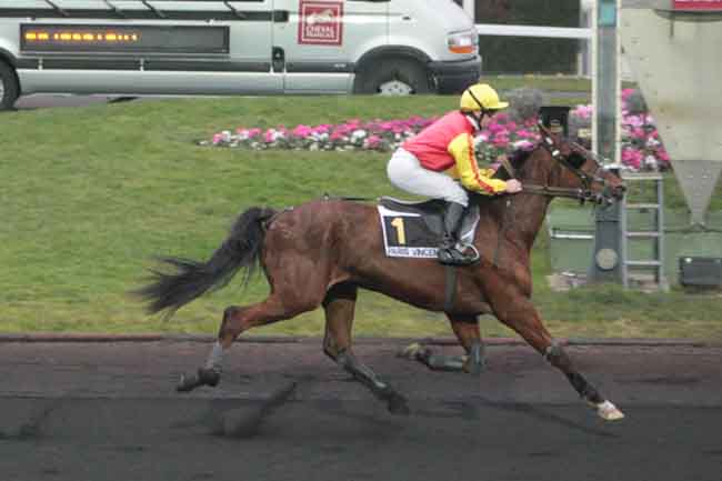 Arrivée quinté pmu PRIX D'AUFFAY à PARIS-VINCENNES