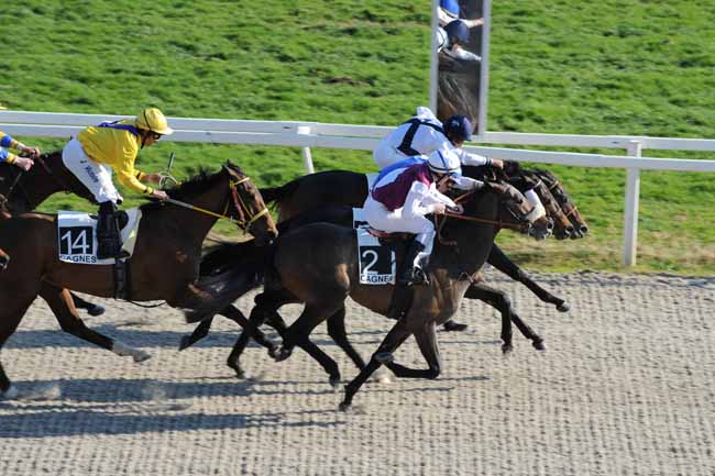Arrivée quinté pmu PRIX DES ARUMS à CAGNES-SUR-MER