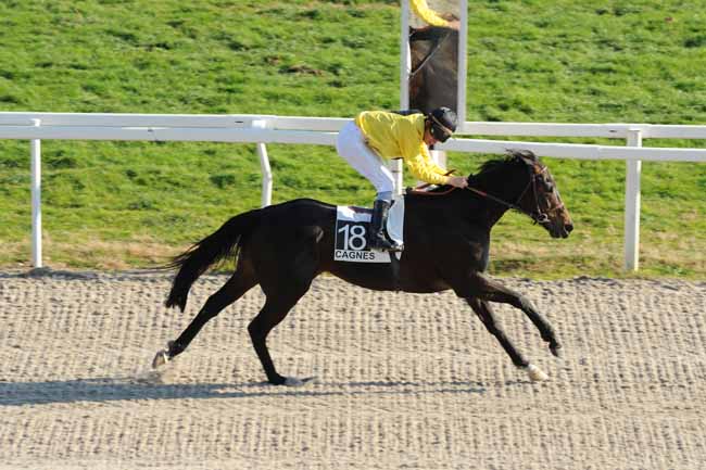 Arrivée quinté pmu PRIX DE GRASSE à CAGNES-SUR-MER