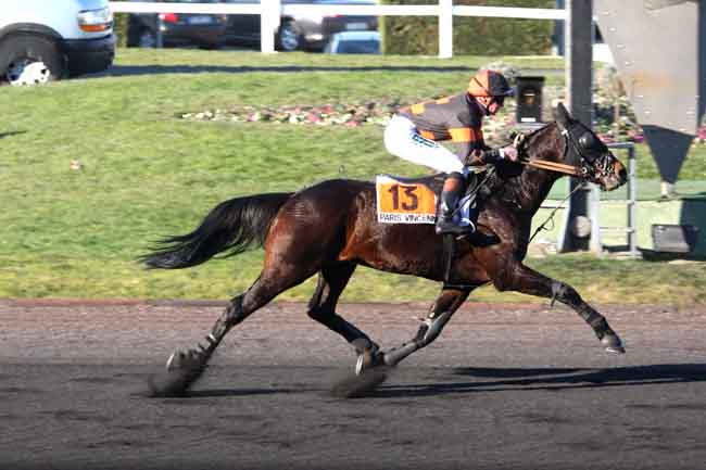 Arrivée quinté pmu PRIX D'AUCH à PARIS-VINCENNES