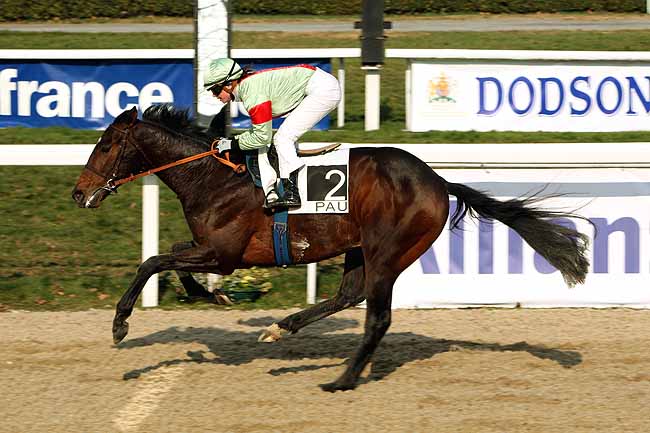 Arrivée quinté pmu PRIX ASTROMONTE à PAU