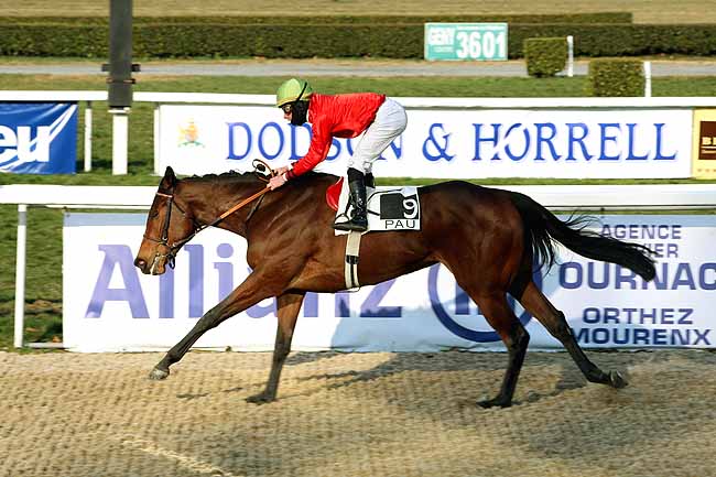 Arrivée quinté pmu PRIX DE LAMOLERE à PAU