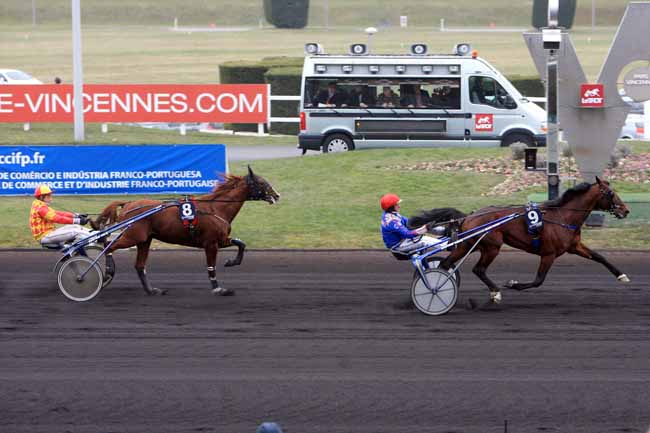 Arrivée quinté pmu PRIX DU PORTUGAL (PRIX DE CHAMPTOCE) à PARIS-VINCENNES