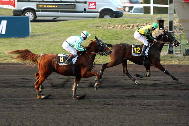Arrivée quinté pmu PRIX DE ROZAY-EN-BRIE à PARIS-VINCENNES
